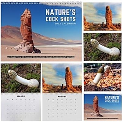 Funny Calendar 2024, Nature Calendar 2024 with Lanyard, Monthly Wall Art Family Calendar for Quirky Birthday Present Novelty Humour Year Planner Office Gift Lightinthebox