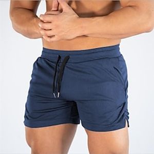 Men's Shorts Sports Going out Weekend Running Casual Drawstring Elastic Waist Plain Knee Length Gymnatics Activewear Lake blue Wine Red Micro-elastic Lightinthebox