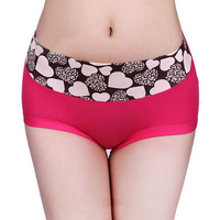 Comfortable Stretchy Soft Seamfree Mid Waist Panties For Women