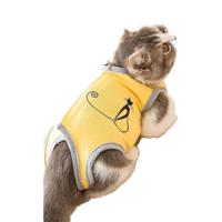 Cat Surgical Recovery Suit - Small