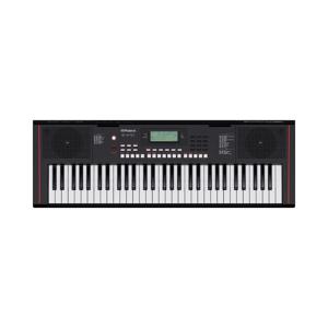 Roland E-X10 61-Key Arranger Keyboard - Black