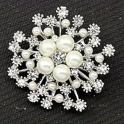 Women's Brooches Elegant Fashion Cute Brooch Jewelry Silver Pink Red For Party Lightinthebox