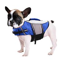 Dog Dog Life Jacket Beach Pool Dog Clothes Puppy Clothes Dog Outfits Sports Outdoors Blue Pink Orange Costume for Girl and Boy Dog Polyester XS S M L XL XXL Lightinthebox Dog Dog Life Jacket Beach Pool Dog Clothes Puppy Clothes Dog Outfits Sports Outdoors Blue Pink Orange Costume for Girl and Boy Dog Polyester XS S M L XL XXL Lightinthebox
