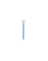 Homesmiths ST Screw 1-1/2" X 10mm