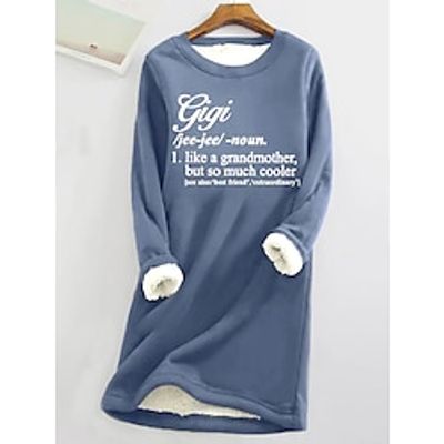 Women's Sweatshirt Dress Casual Dress Mini Dress Teddy Fleece Warm Outdoor Holiday Vacation Crew Neck Print Print Loose Fit Dark Pink Blue Gray S M L XL XXL Lightinthebox