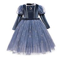 Kids Little Girls' Dress Solid Colored Snowflake A Line Dress Birthday Performance Ruched Mesh Lace Blue Maxi Long Sleeve Princess Costume Dresses Fall Spring Regular Fit 2-8 Years miniinthebox - thumbnail