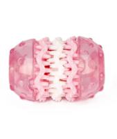 Pawsitiv Dental Toy With 3 Layers - Pink Small