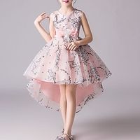 Kids Girls' Dress Floral A Line Dress Asymmetrical Dress Party Ruched Sleeveless Cute Dress 3-12 Years Spring Pink Red Lightinthebox - thumbnail