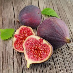 100Pcs Fig Ficus Carica Tree Fruits