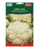 Euro Garden Cauliflower - thumbnail