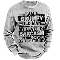 Men's Unisex Sweatshirt Pullover Graphic Prints Letter Print Daily Sports 3D Print Casual Vintage Hoodies Sweatshirts  Gray Lightinthebox - thumbnail