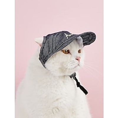 Dog Cat Dog Bandana  Dog Hat Quotes  Sayings Leisure Special Casual Daily Dog Clothes Puppy Clothes Dog Outfits Breathable Blue Costume for Girl and Boy Dog Polyester S M Lightinthebox