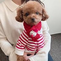 Gift scarf Christmas dog clothes Autumn and winter cat pet Teddy Pomeranian bear small puppy poodle Lightinthebox - thumbnail