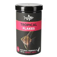 Fishscience Tropical Flakes Fish Food - 200G