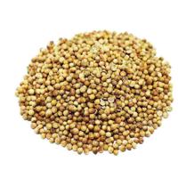 Coriander Whole 15kg