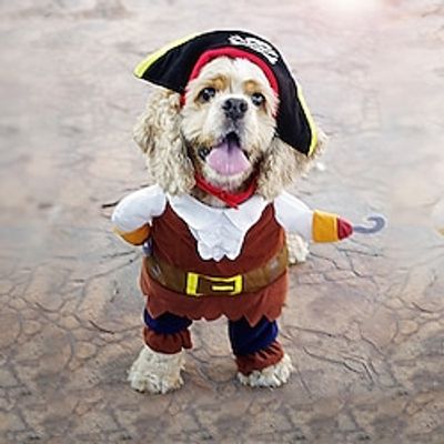 Pirate Outfit Police Doctor Standing Outfit Guitar Changing Outfit Funny And Creative Personality Lightinthebox