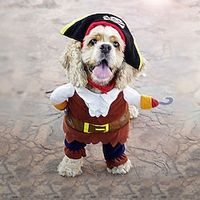 Pirate Outfit Police Doctor Standing Outfit Guitar Changing Outfit Funny And Creative Personality Lightinthebox - thumbnail