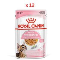 Royal Canin Feline Health Nutrition Kitten Sterilised Jelly - WET FOOD Pouches 85g (Pack Of 12)