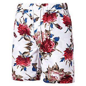 Men's Casual Plus Size Loose Casual Holiday Shorts Bermuda shorts Pants Graphic Leaf Knee Length Blue Red Black / Summer / Drawstring miniinthebox