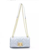 Baldinini Trend Elegant Light Blue Shoulder Bag with Golden Accents (BA-23253)