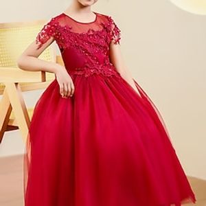 Kids Little Girls' Dress Flower Tulle Dress Party Christening dress Mesh Wine Maxi Short Sleeve Beautiful Cute Dresses Children's Day Fall Spring Slim 4-13 Years Lightinthebox