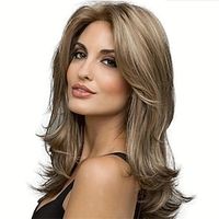 Layered Straight Synthetic Wig Beginners Friendly Heat Resistant Elegant Natural Looking For Daily Use Christmas Party Wigs miniinthebox - thumbnail