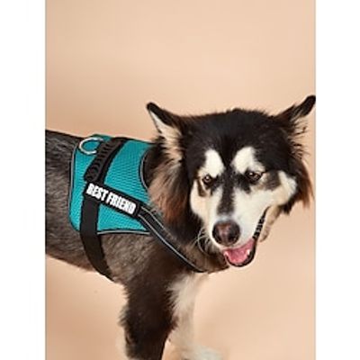 Dog Harness Dog Cat Harness Vest Adjustable Flexible Safety Soft Adjustable Outdoor Walking Solid Colored Polyester Small Dog Medium Dog Large Dog Blue 1PC Lightinthebox