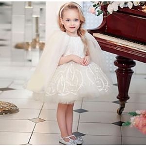 Kids Little Girls' Dress Solid Colored A Line Dress Party Mesh Lace White Knee-length Sleeveless Princess Sweet Dresses Spring Summer Regular Fit 3-12 Years miniinthebox