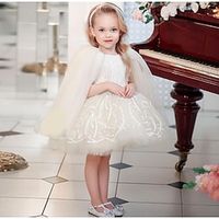 Kids Little Girls' Dress Solid Colored A Line Dress Party Mesh Lace White Knee-length Sleeveless Princess Sweet Dresses Spring Summer Regular Fit 3-12 Years miniinthebox - thumbnail