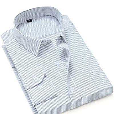Men's Shirt Other Prints Striped Plus Size Long Sleeve Daily Tops Business Basic White Black Blue Lightinthebox