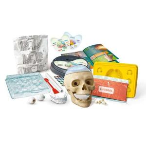 Clementoni Crazy Anatomy - 61520
