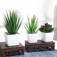 3pcsSet Evergreen Plants Simulating Plastic Mini Potted Plants Suitable For Decorating Homes Kitchens Restaurants Tabletops Windowsills Bookshelves Courtyards Gardens And Offices Lightinthebox - thumbnail
