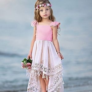 Kids Little Girls' Dress Casual Princess Color Block Tassel Pleated Asymmetric Blushing Pink Vacation Boho Dresses Summer miniinthebox