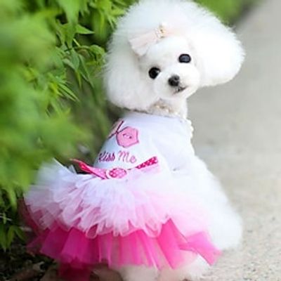 New Summer Dog Clothes Princess Dress Teddy Bears Two legged Clothes Mesh Lace Bunny Skirt Lightinthebox