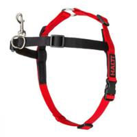 Company Of Animals HW022 Halti Walking Harness Red Medium