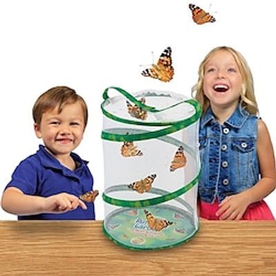 Butterfly And Caterpillars Habitat Life Science And Education Lightinthebox Butterfly And Caterpillars Habitat Life Science And Education Lightinthebox
