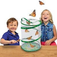 Butterfly And Caterpillars Habitat  Life Science And Education Lightinthebox - thumbnail
