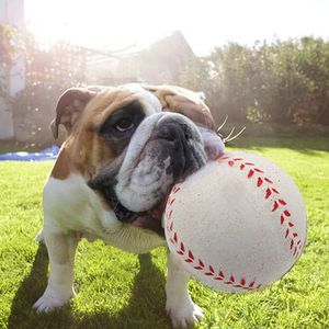 Elastic Non Toxic Safe Material Dog Pet Toys