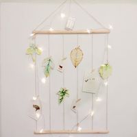 Photo Display DIY Picture Lights Hemp Rope Nails Clip