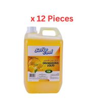 Hotpack Soft N Cool Dish Wash Liquid 5 Litre - 4 Pieces