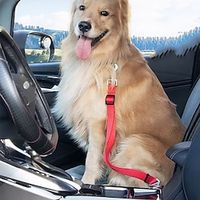 Pet Dog Safety Belt Cat Dog Car Safety Buckle Teddy Gold Hair Small Medium and Large Dog Car Supplies miniinthebox