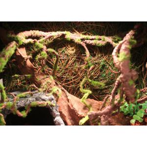 1.2M Reptiles Vine Climber Jungle Bend Artificial Branch