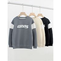 Kids Boys Sweatshirt Graphic Long Sleeve Crewneck Spring Fall Winter Cool Daily Cotton Outdoor Casual Lightinthebox - thumbnail
