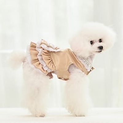 Dog Cat Dress Solid Colored Fashion Cute Sports Casual  Daily Dog Clothes Puppy Clothes Dog Outfits Soft Silver Gold Costume for Girl and Boy Dog Cotton XS S M L XL XXL Lightinthebox