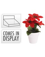 Homesmiths Christmas Poinsettia In Ceramic Pot - thumbnail