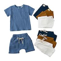 2 Pieces Toddler Boys T-shirt Shorts Outfit Solid Color Short Sleeve Set School Fashion Summer Spring 3-7 Years Lightinthebox