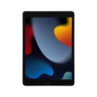 Apple iPad 9th Gen A13 Bionic (2019) Wifi 256GB 10.2Inch Space Gray