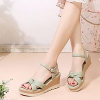 Women's Heels Sandals Dress Shoes Ankle Strap Heels Wedding Daily Wedding Sandals Platform Wedge Heel Pointed Toe Casual Minimalism PU Ankle Strap Light Green Beige Lightinthebox