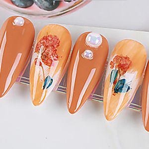 No. 9 Real Flower Dried Flower Material Sunflower Immortal Flower Small Daisy Blue Enchantress Epoxy Real Dried Flower Diy Nail Art miniinthebox