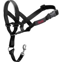 COA HH022Head Collar Black- Size2